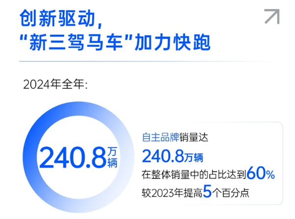 一锤定音2024中国车市盘点之八：在变革中突围，星空·综合体育破局前行