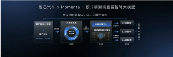 一锤定音2024中国车市盘点之八：在变革中突围，星空·综合体育破局前行