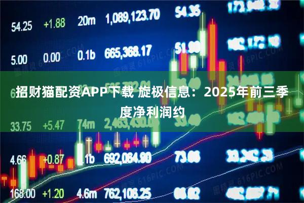 招财猫配资APP下载 旋极信息：2025年前三季度净利润约