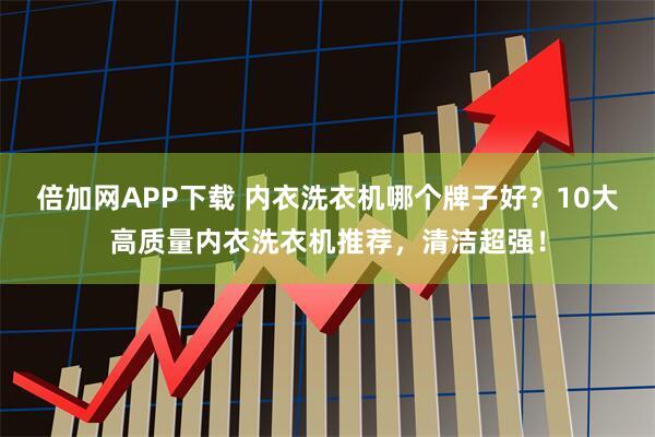 倍加网APP下载 内衣洗衣机哪个牌子好？10大高质量内衣洗衣机推荐，清洁超强！
